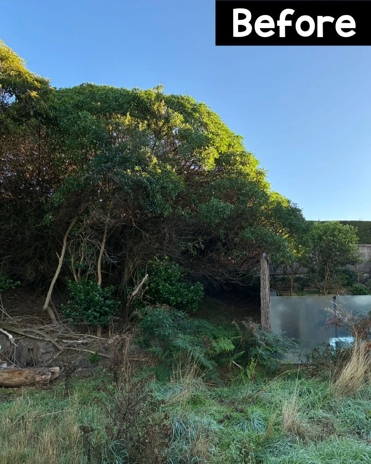 ✅ 🌳Tree clean-up in Flinders! Cleared trees off the fence line and opened up the space for more sunlight heading into the colder months. Ready for winter? We can help brighten up your property. 

Send a message to Jack on 0490957900 for all your pro