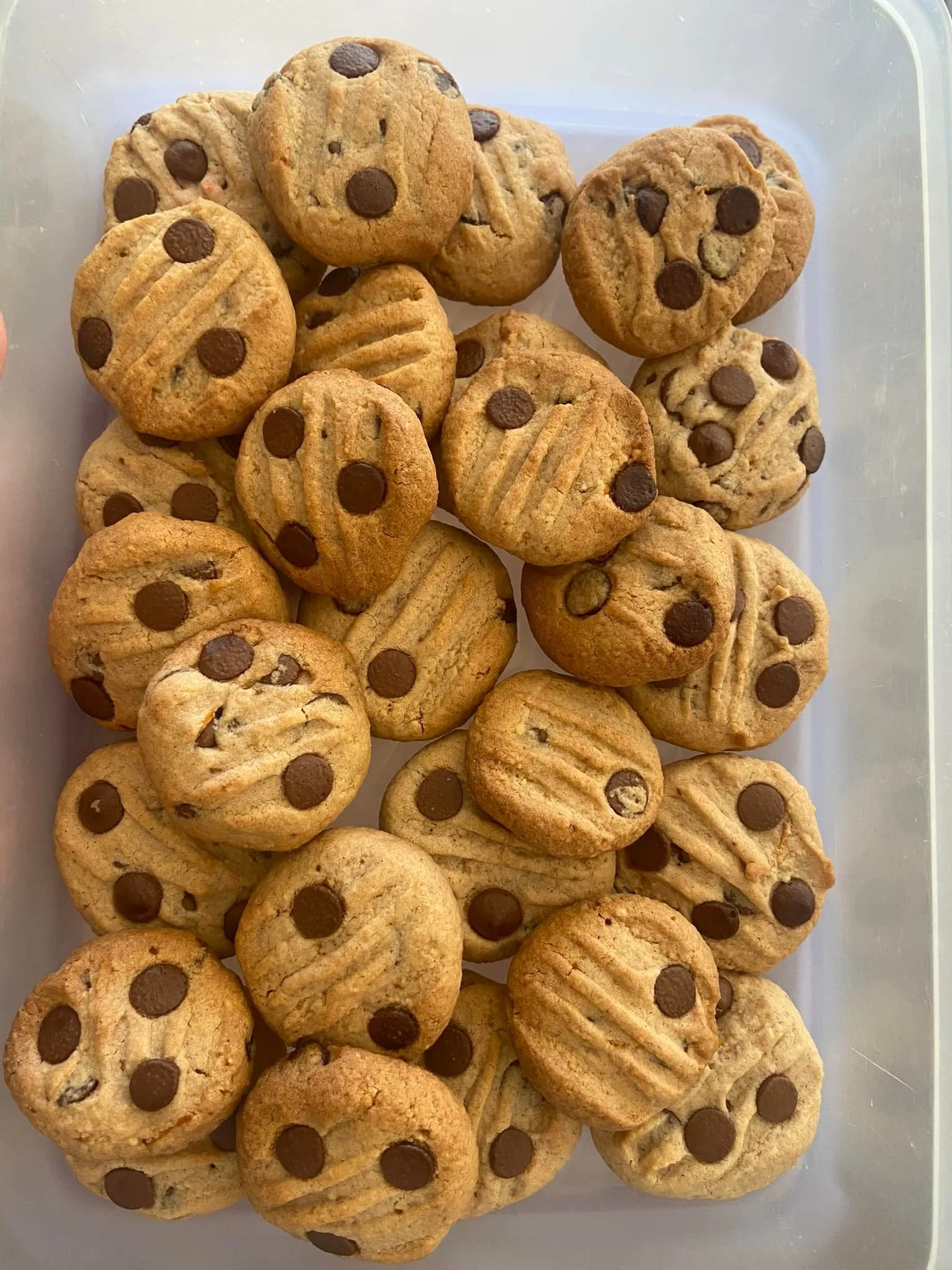 Almond meal choc chip.jpg