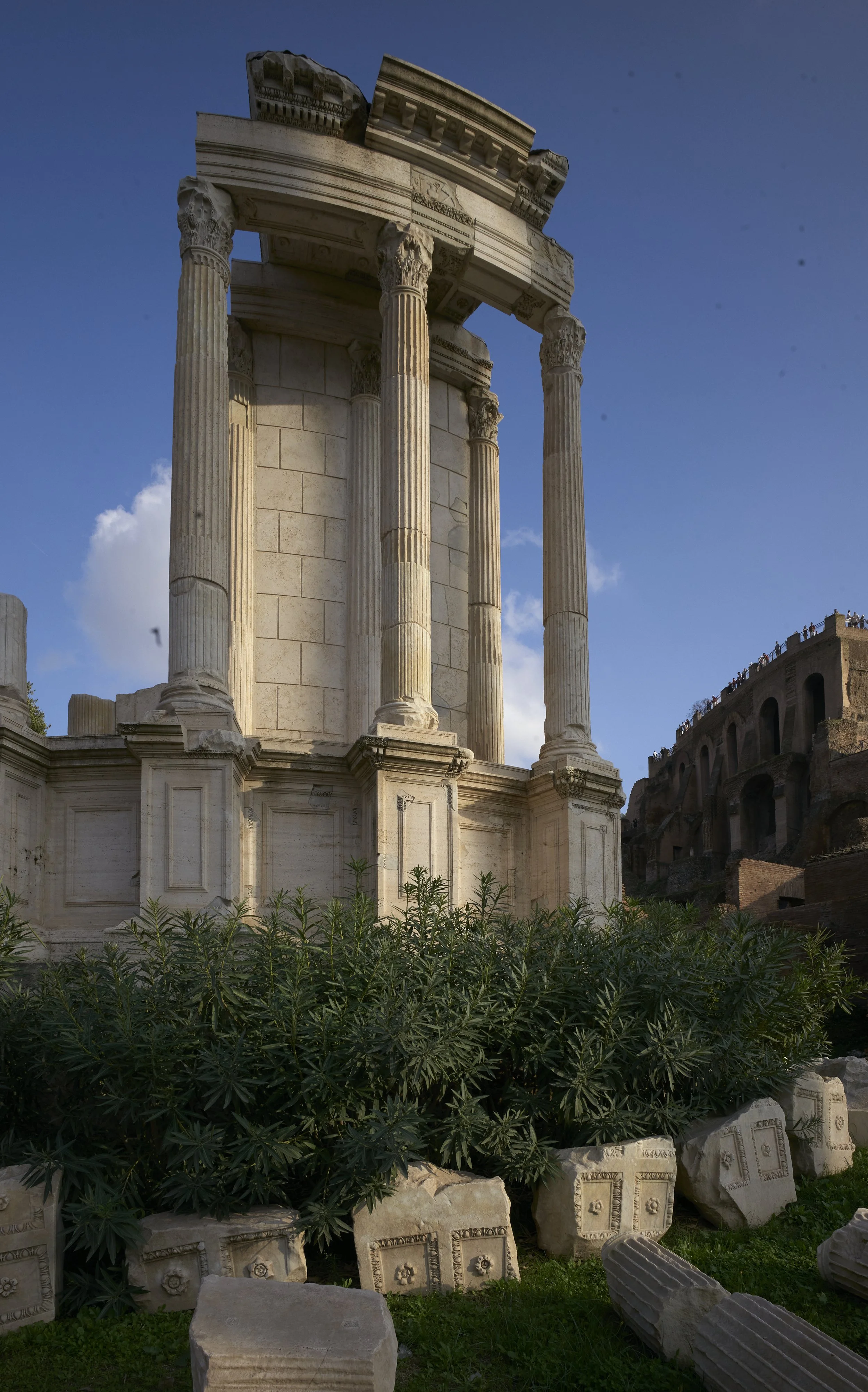 Forum Rome.jpg