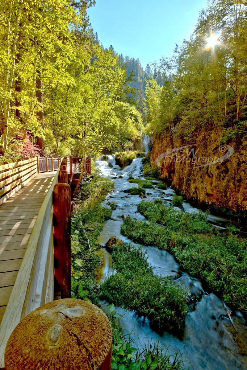 Roughlock Falls - Spearfish Canyon, SD