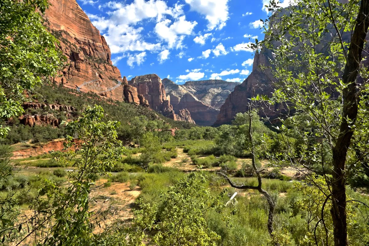 Virgin River Valley - Zion NP