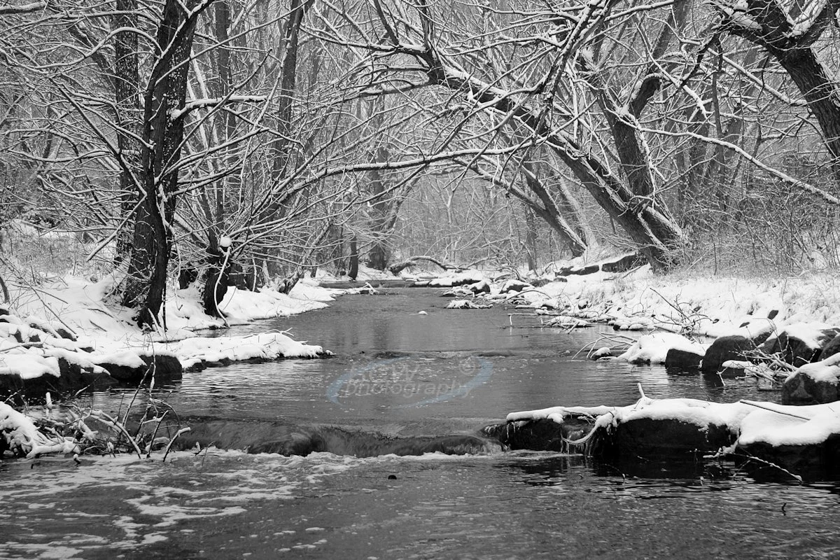 Boulder Creek in Boulder, CO