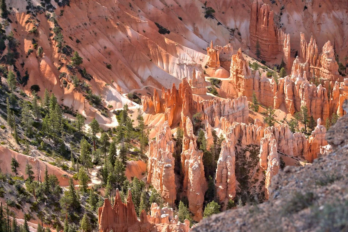 View from Bryce Point - Bryce NP