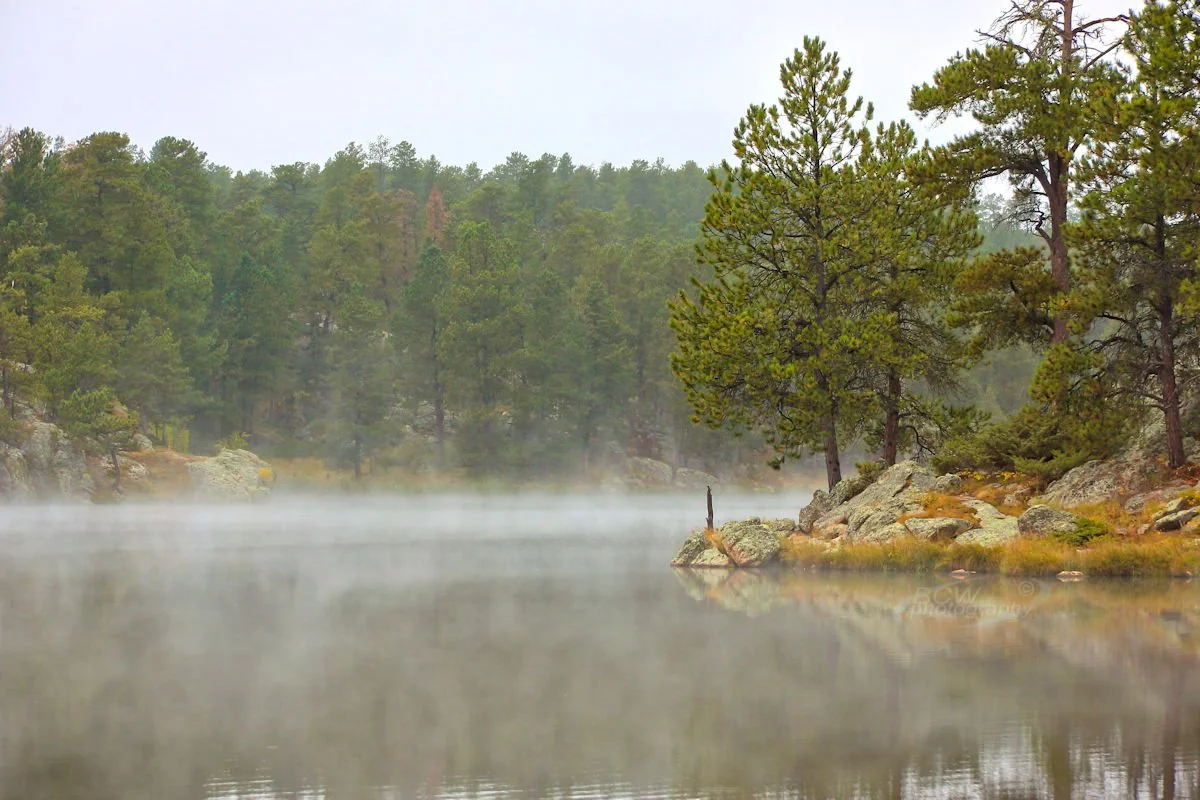 Sheridan Lake - Near Hill City, SD