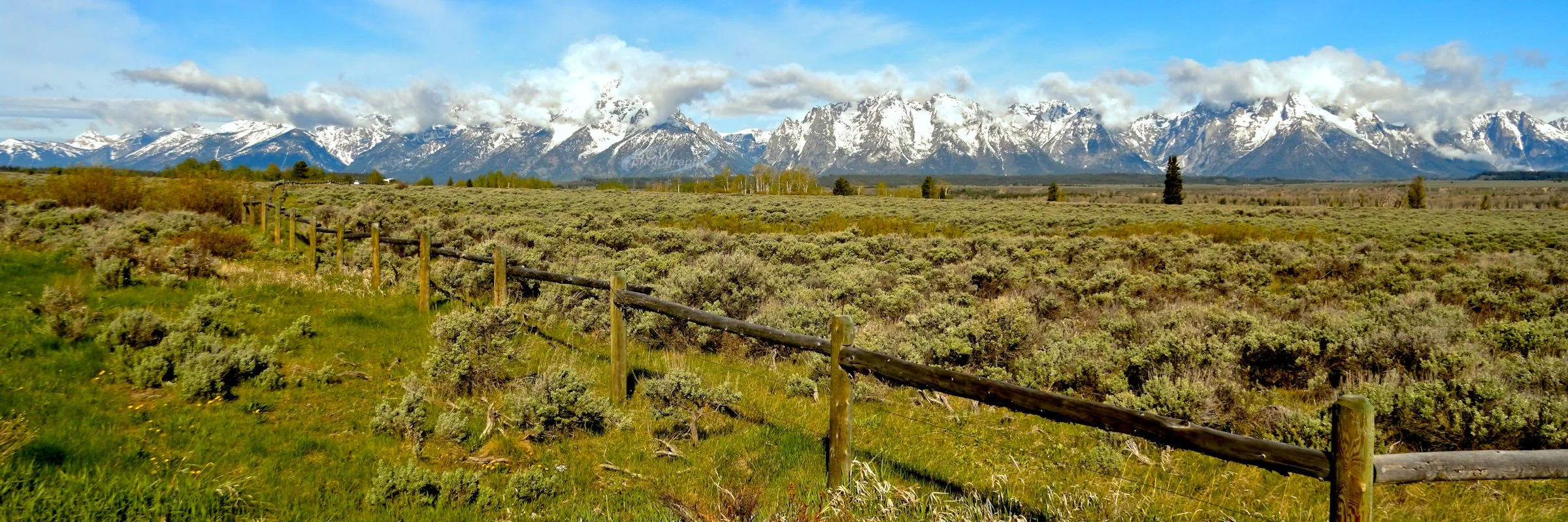 Wide angle - Grand Tetons NP