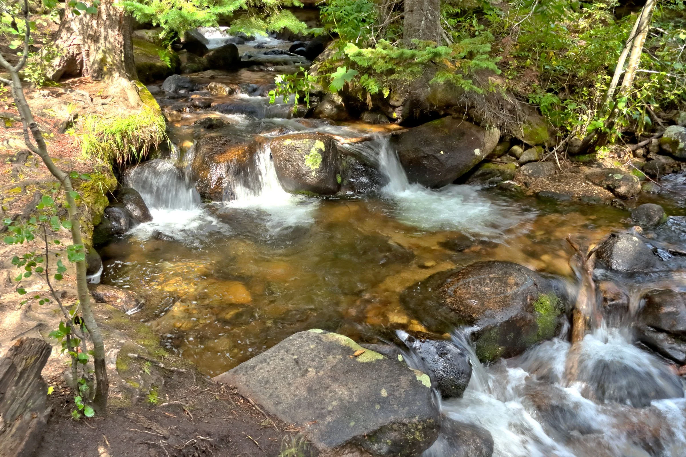 Wild Basin creek Rocky Mtn NP