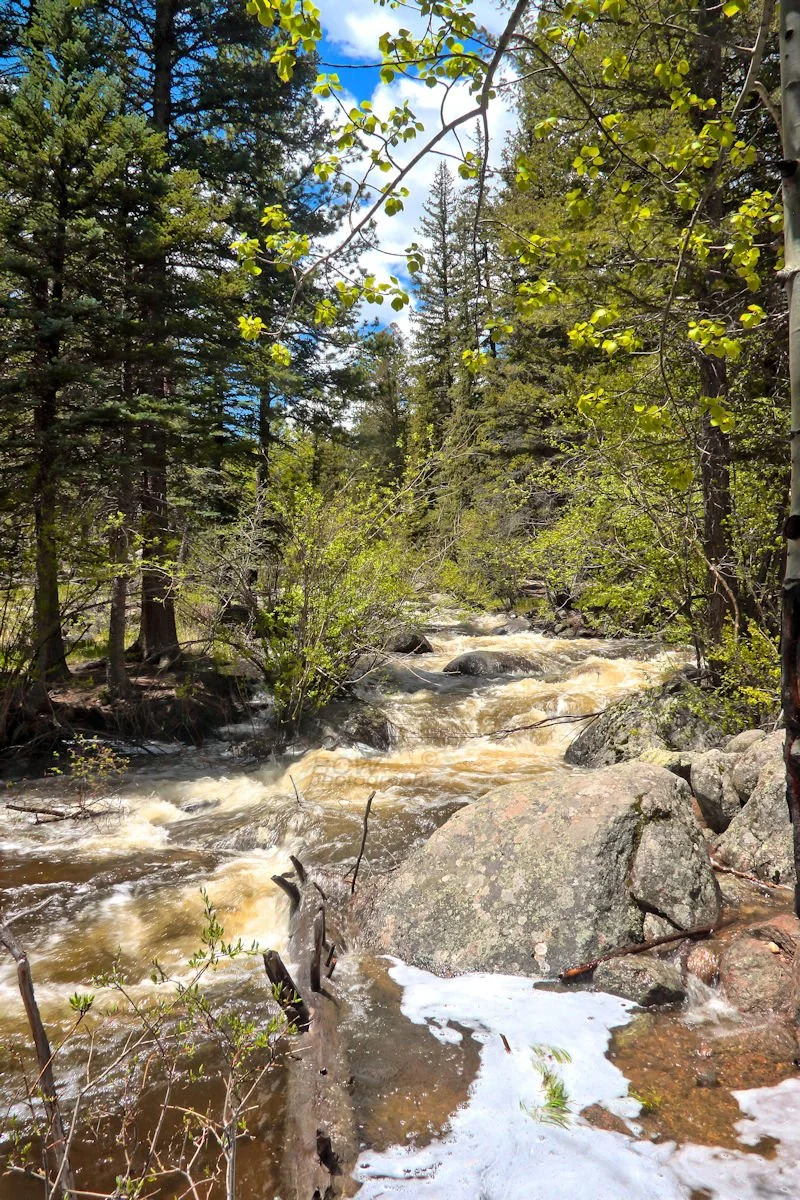 Glacier Ck Tuxedo Park Rocky Mtn NP