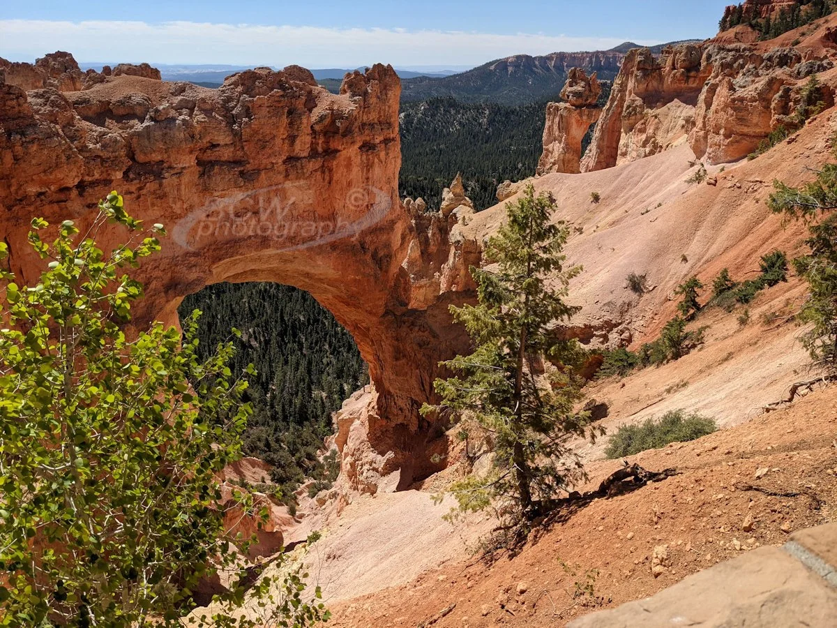 Natural Bridge - Bryce NP