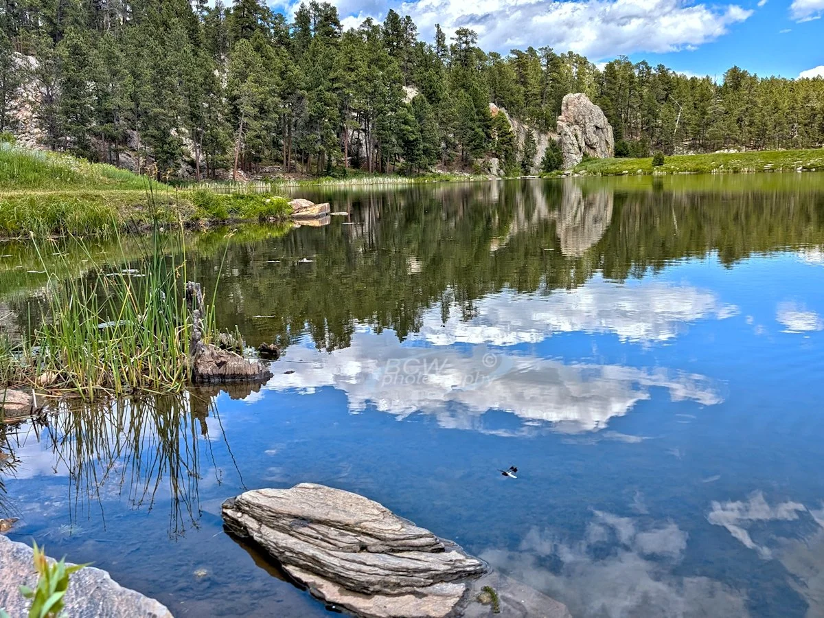 Dragonfly over Lakota Lake in Black Hills, SD