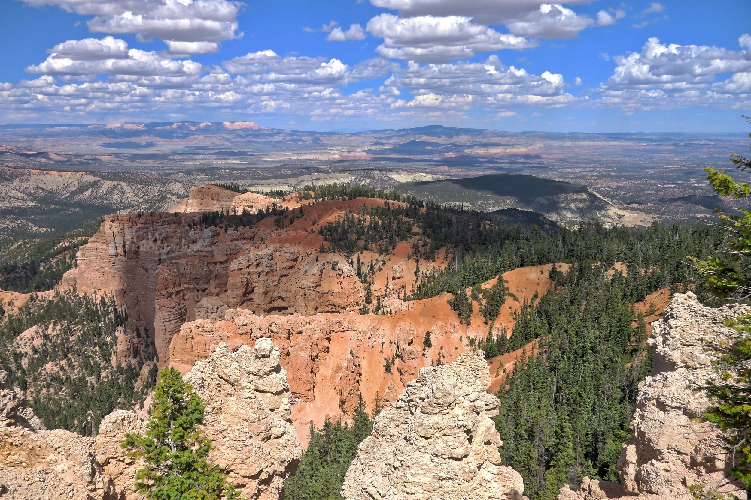 View from Rainbow Point - Bryce NP