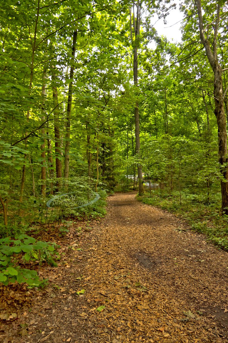 Path at Edith J Carrier Arboretum - Harrisonburg, VA