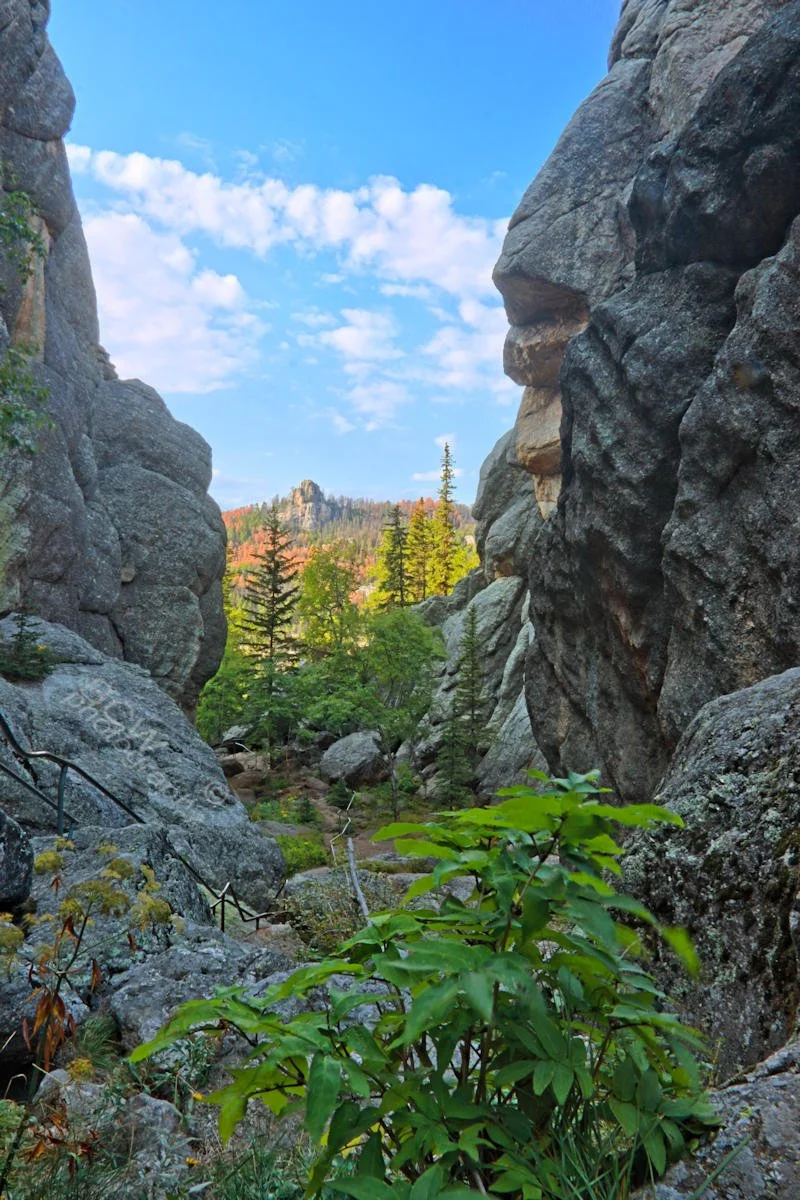 Below Sylvan Lake dam - Custer SP, SD