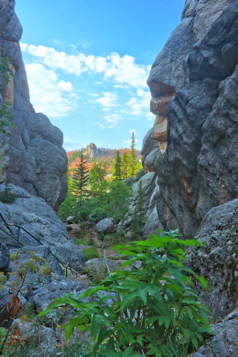 Below Sylvan Lake dam - Custer SP, SD