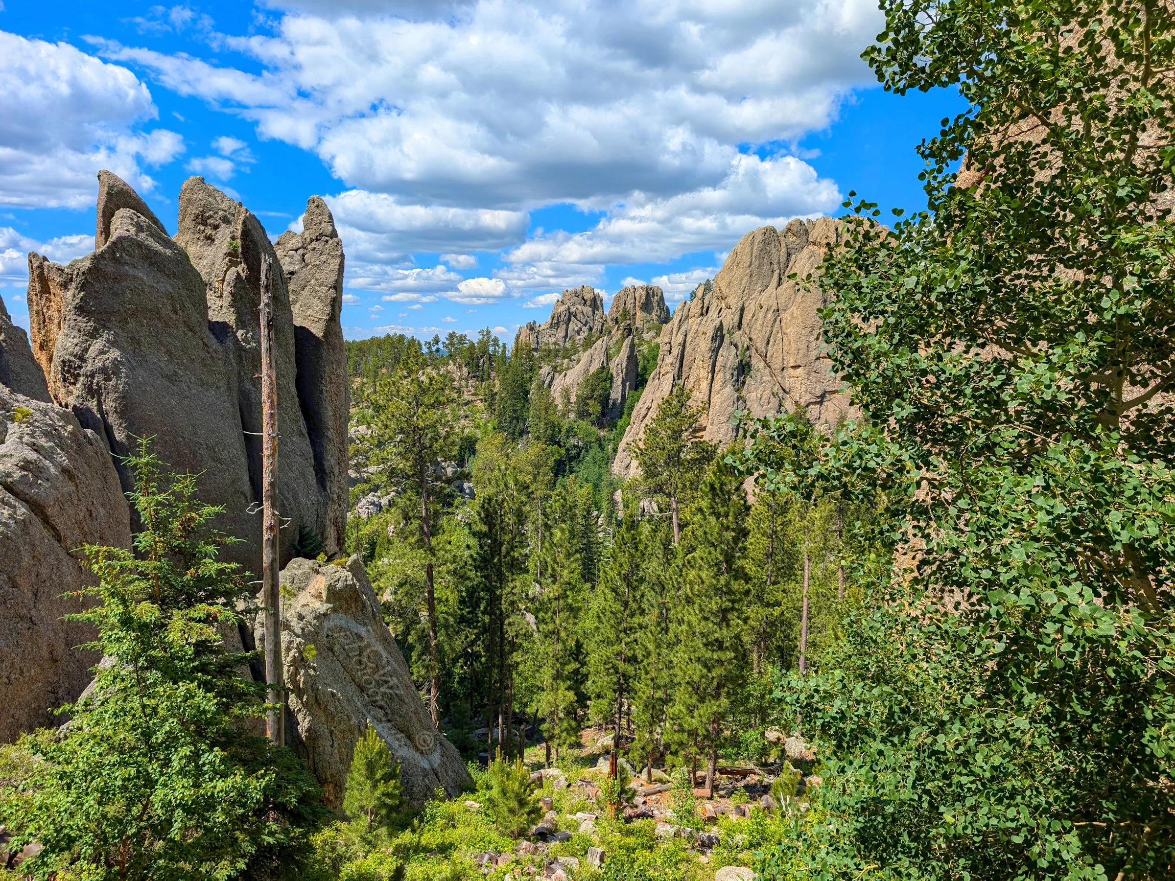 Needles Hwy - Custer SP, SD