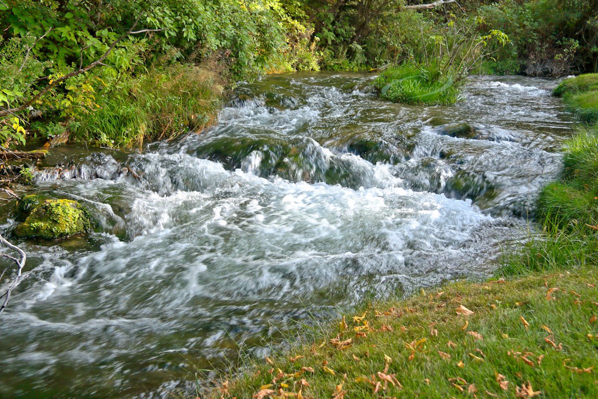 Little Spearfish Ck - Savoy, SD
