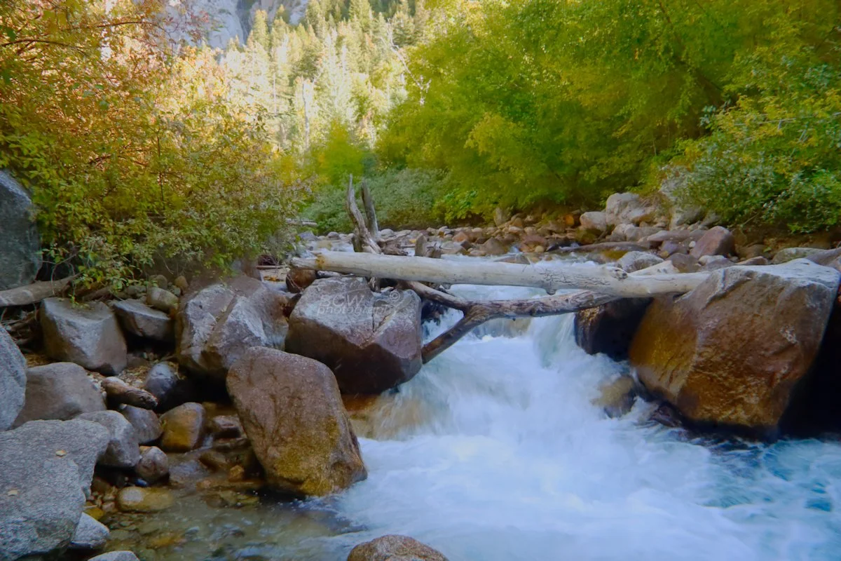 Stream In Utah