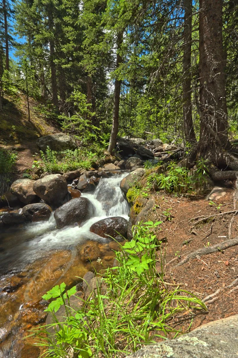 West Chicago Creek - Near Idaho Springs, CO