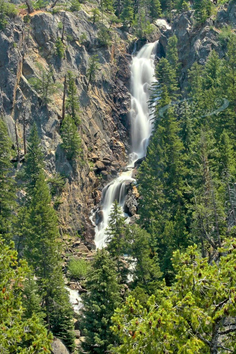 Fish Creek Falls - Steamboat Springs, CO
From upper viewpoint