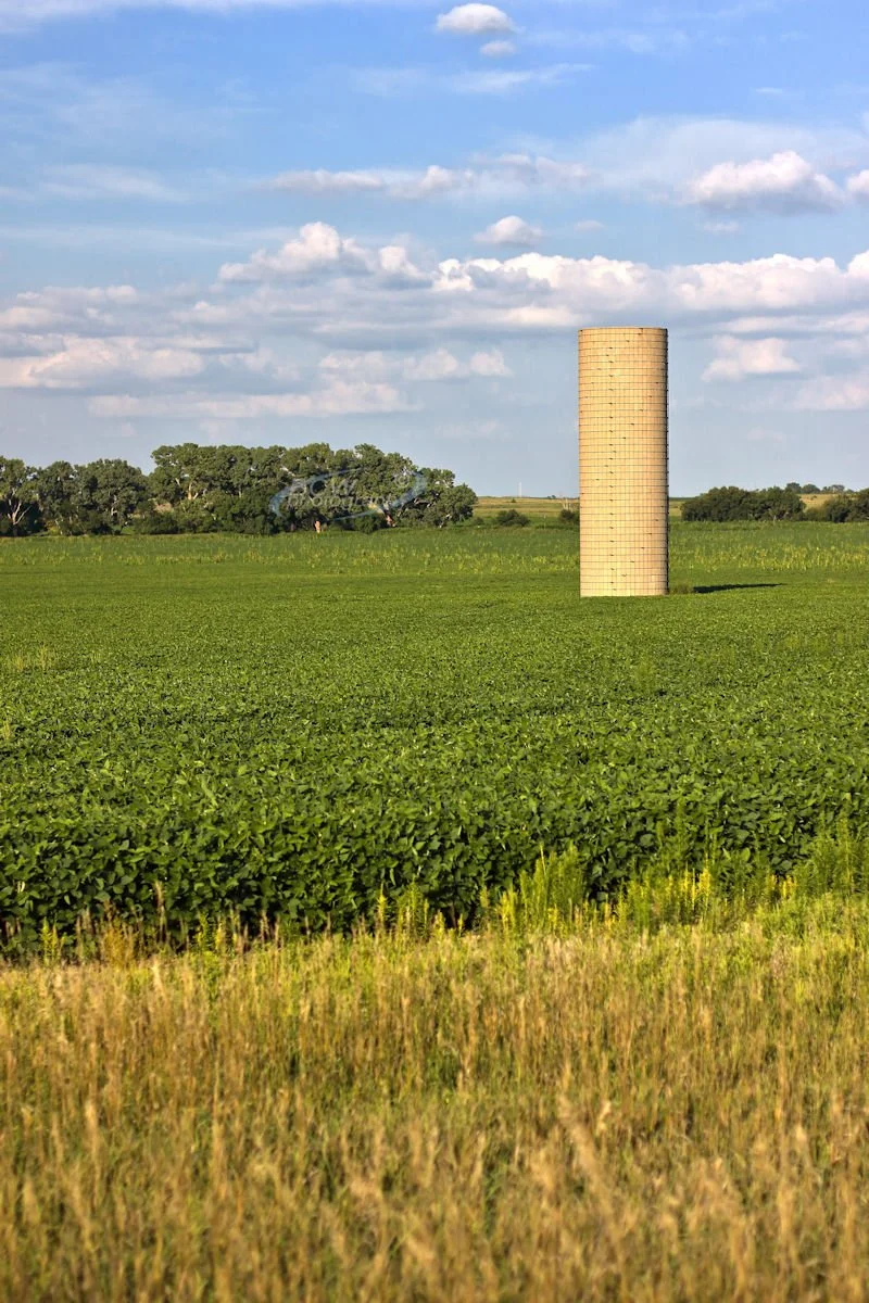 Silo near Lincoln, KS