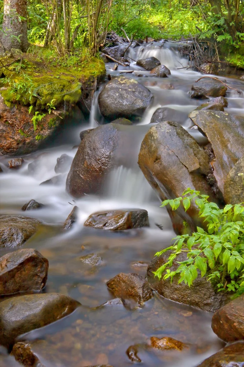W. Chicago Creek near Idaho Springs, CO