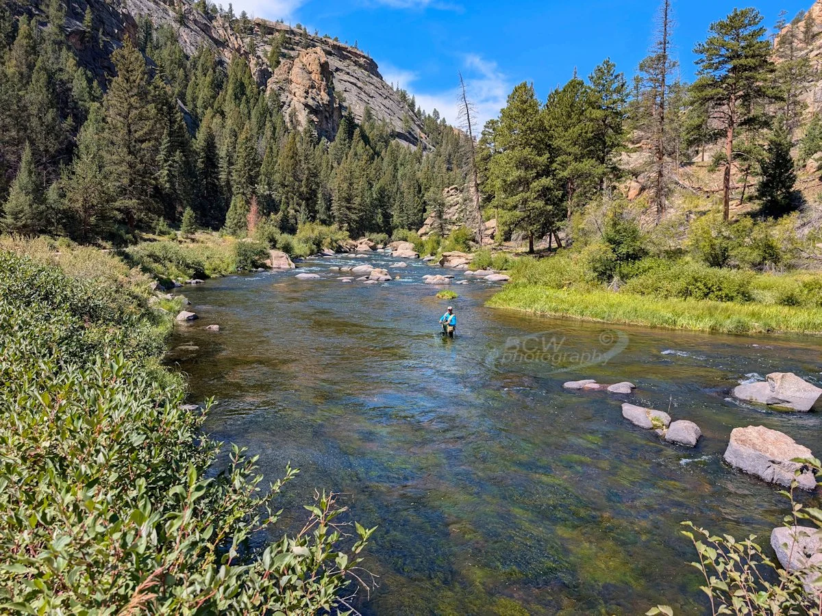 11 Mile Canyon - CO