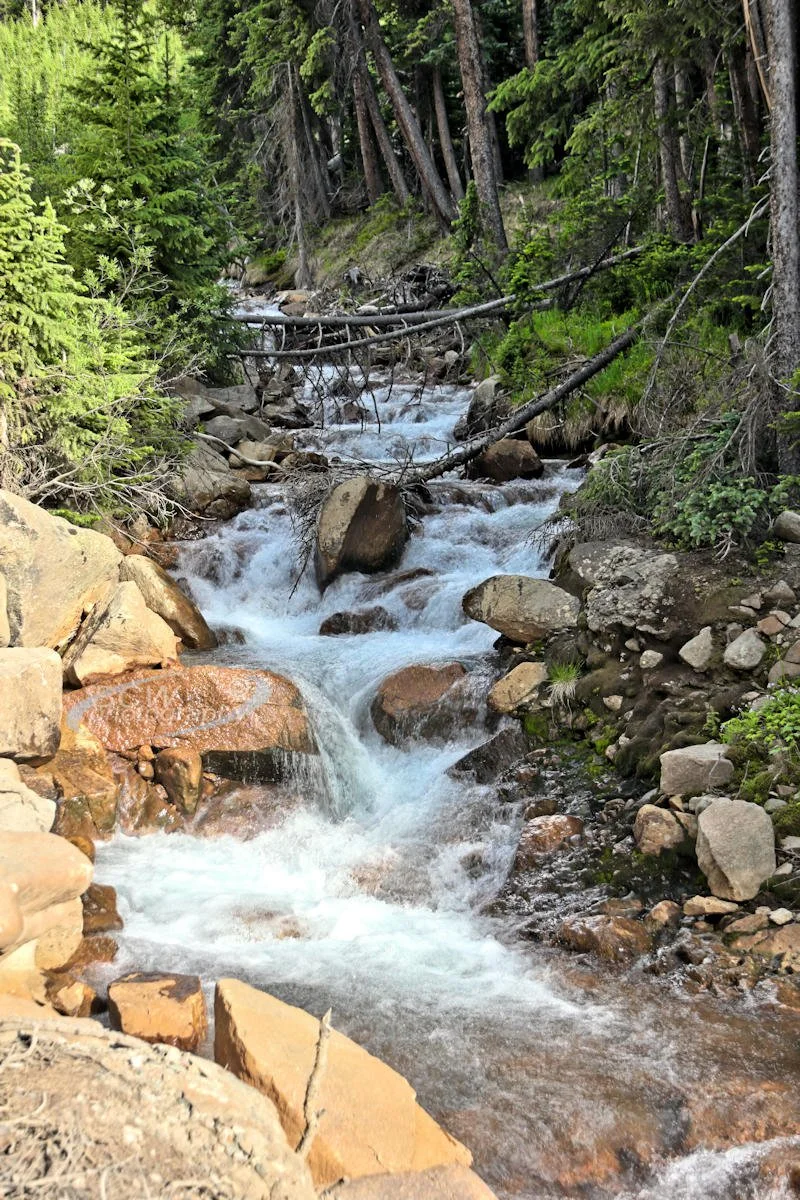 Peru Creek - East of Keystone, CO