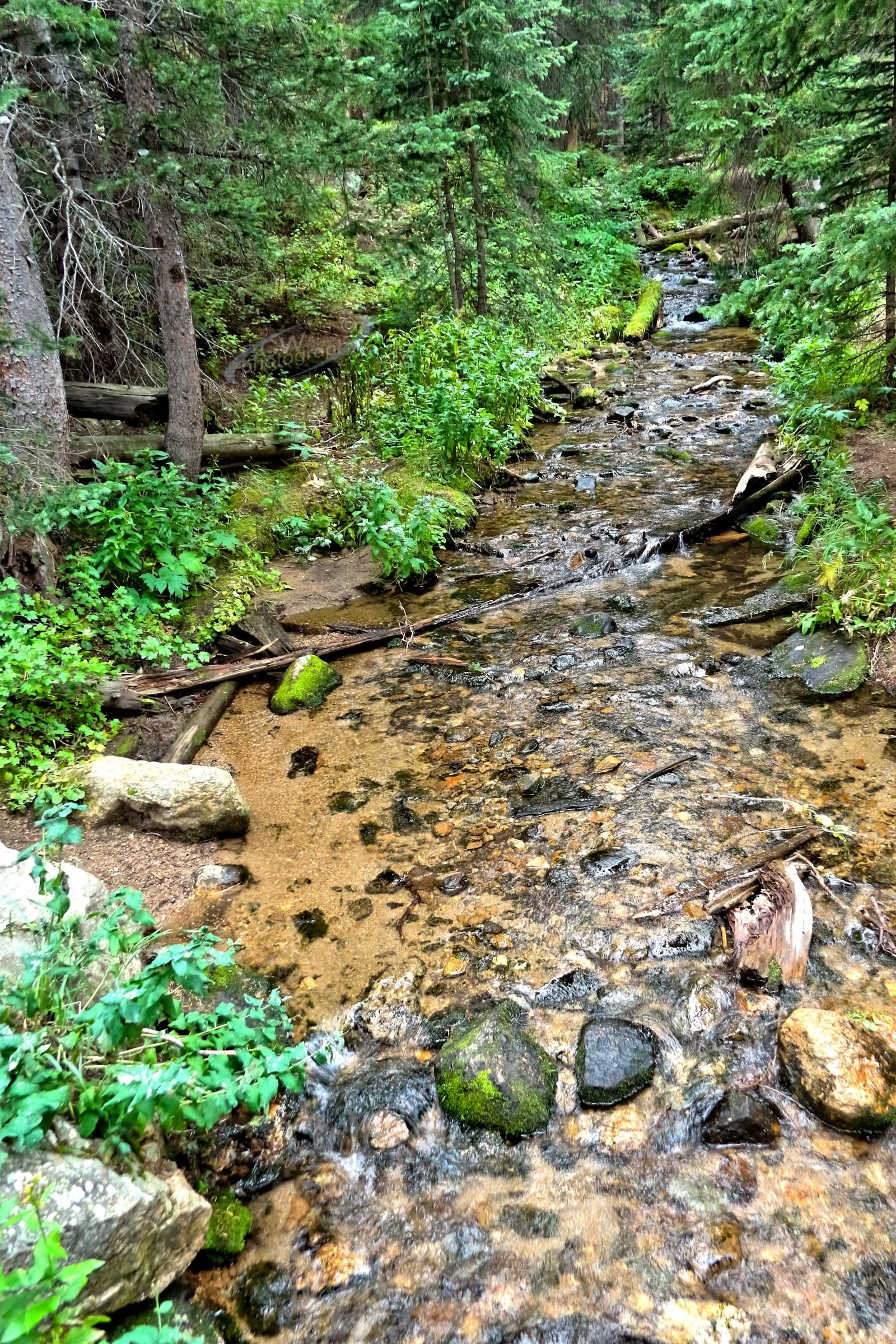 Hidden Valley Creek - Rocky Mtn NP