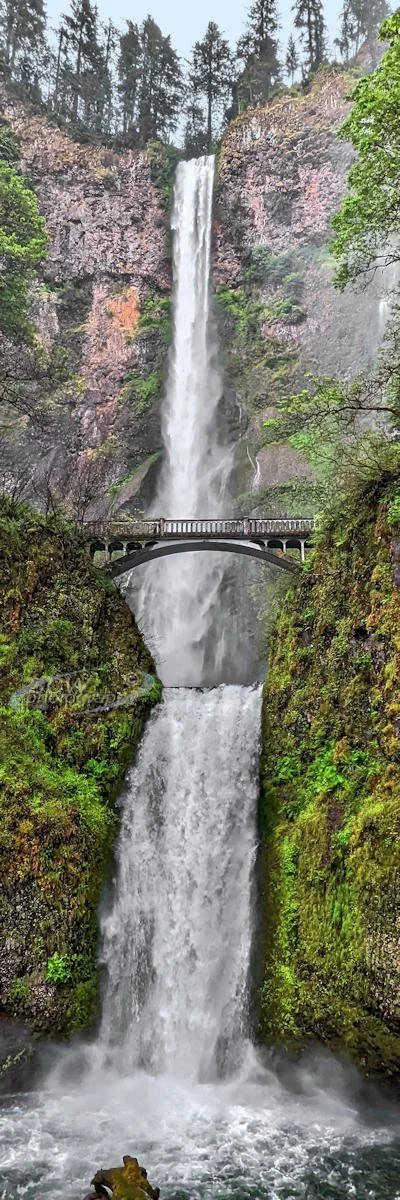 Multnomah Falls, Gresham, OR