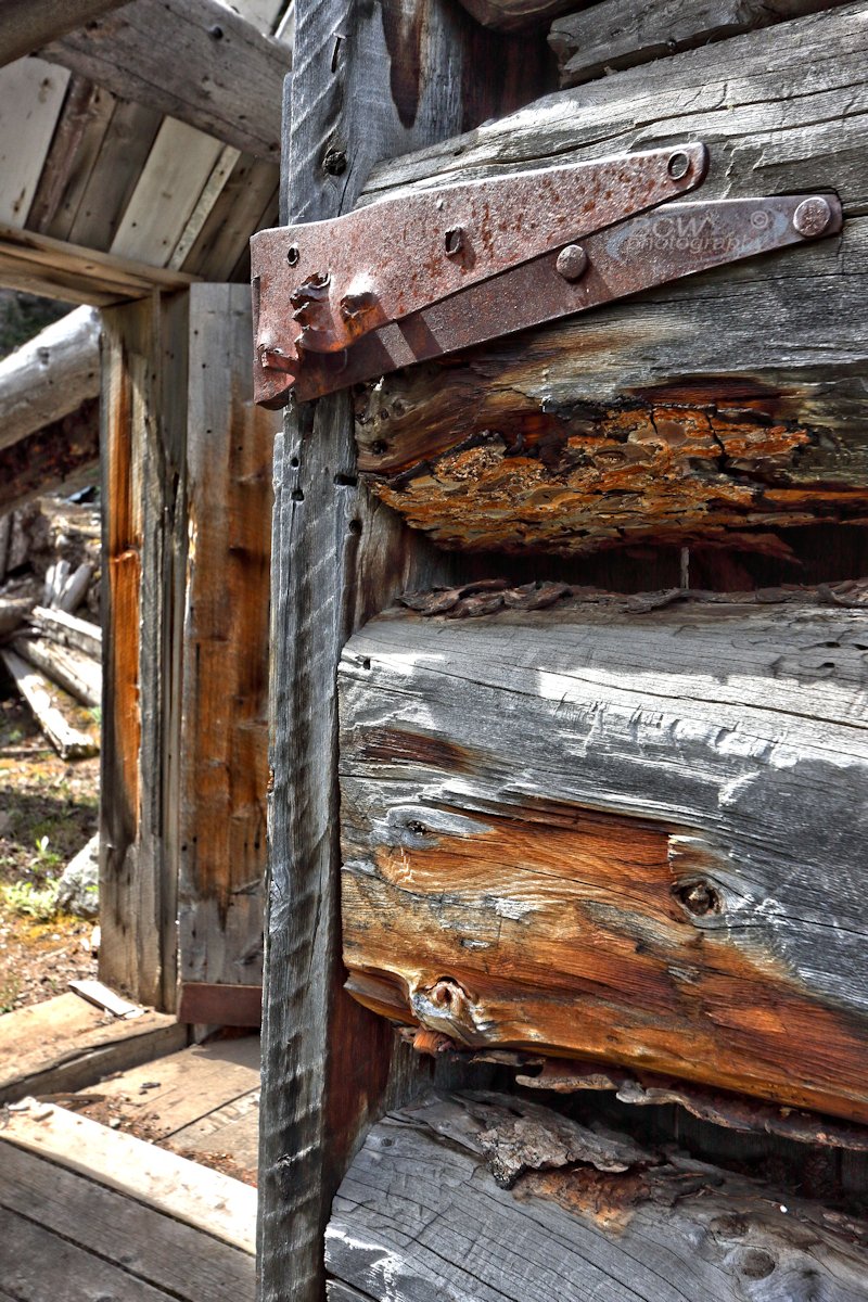 Old cabin - Steven's Gulch, CO