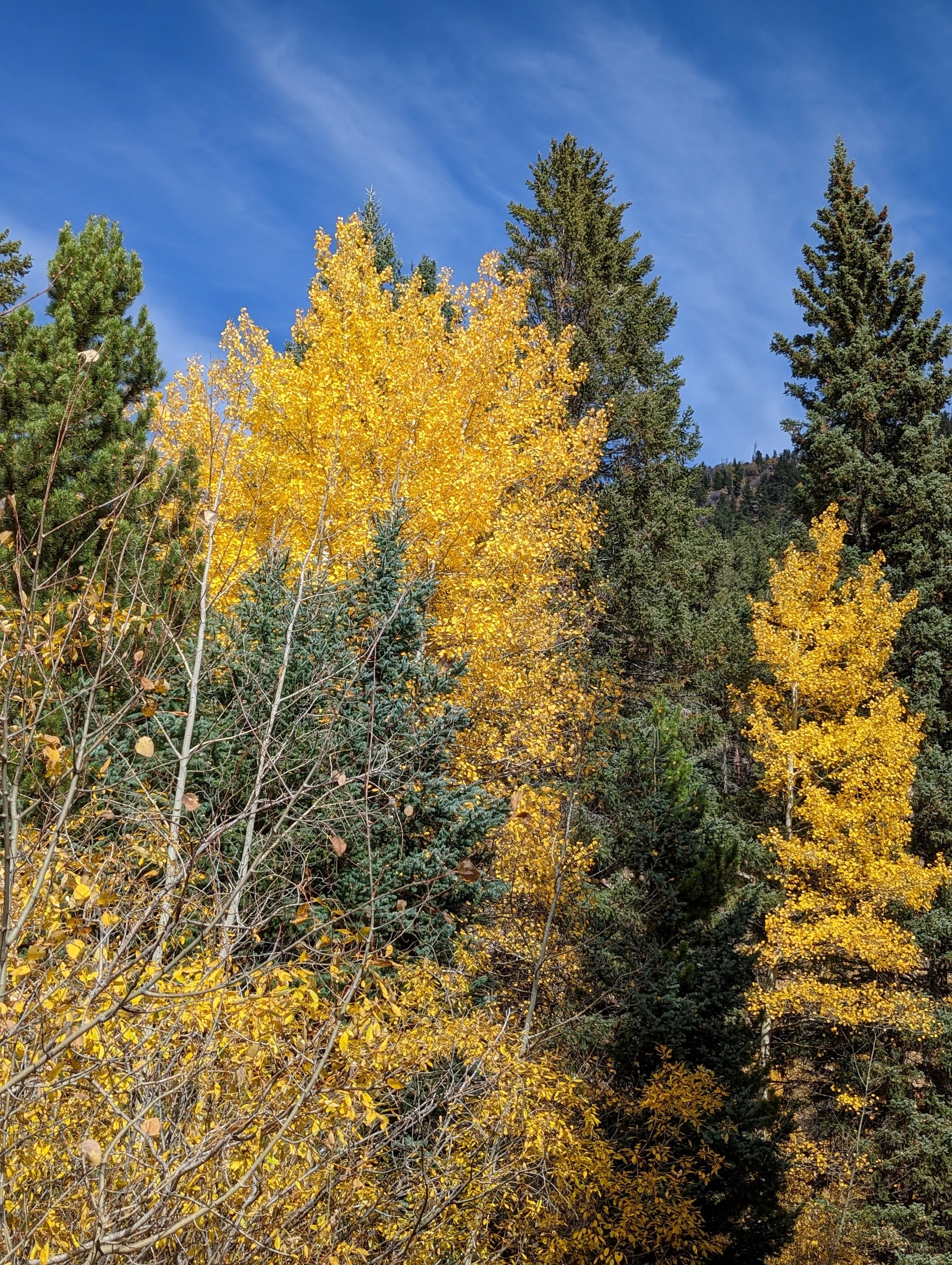 Aspen - End-O-Valley. Rocky Mtn NP