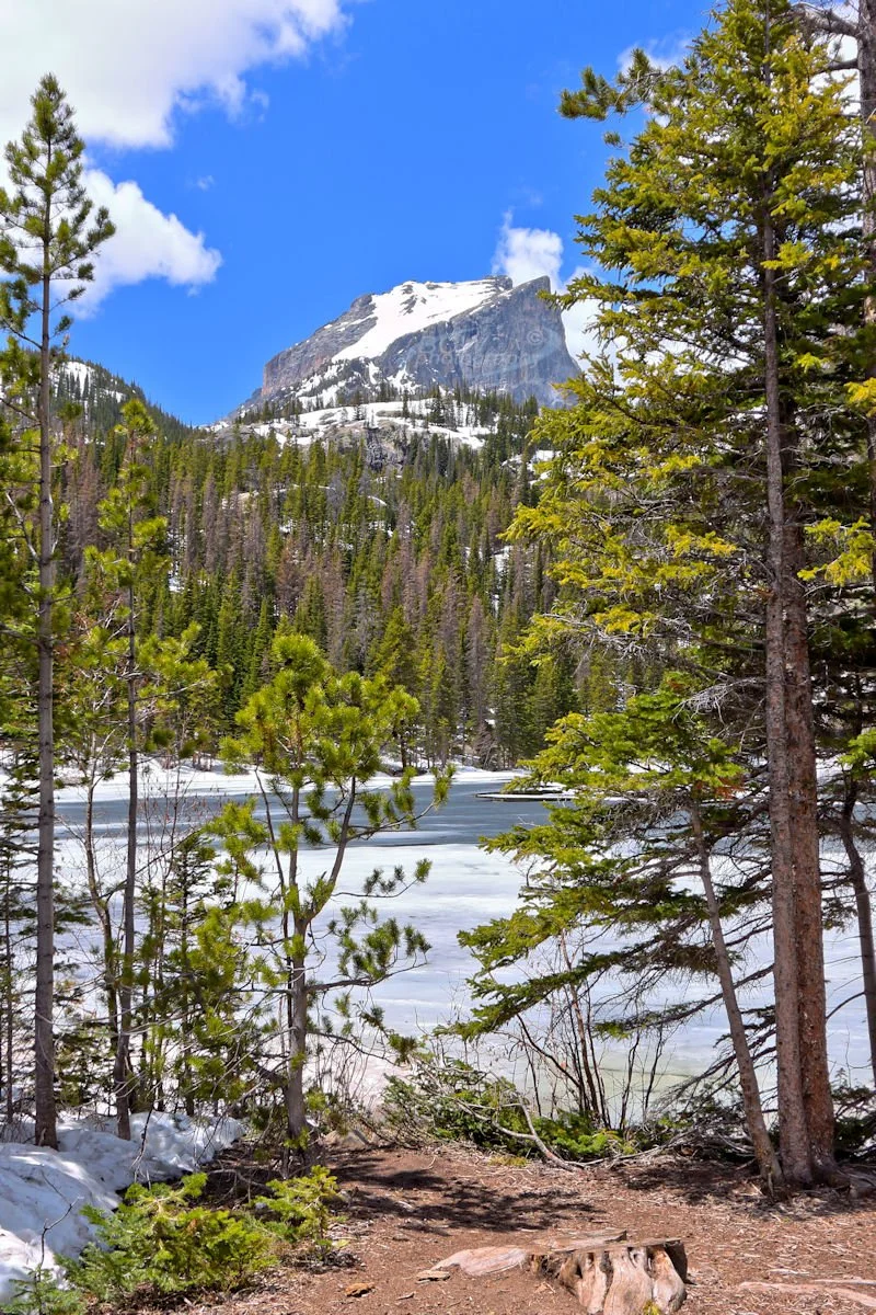 Hallett Peak in Springtime - Rocky Mtn NP