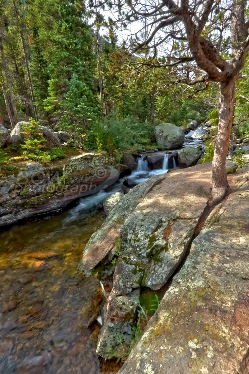 Upper Copeland Falls - Rocky Mtn NP
