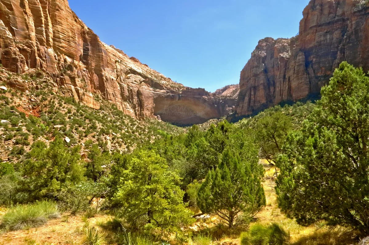 Amphitheater - Zion NP