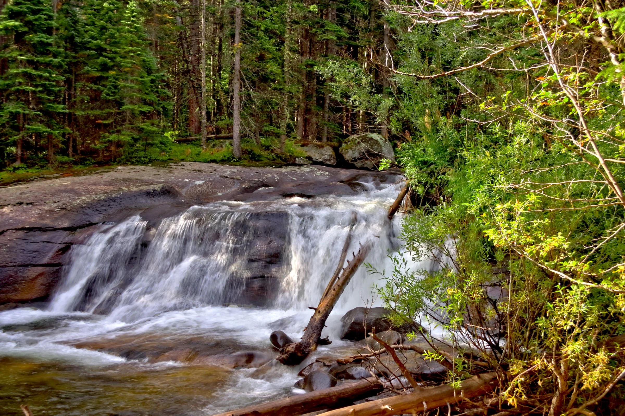 Lower Copeland Falls - Rocky Mtn NP