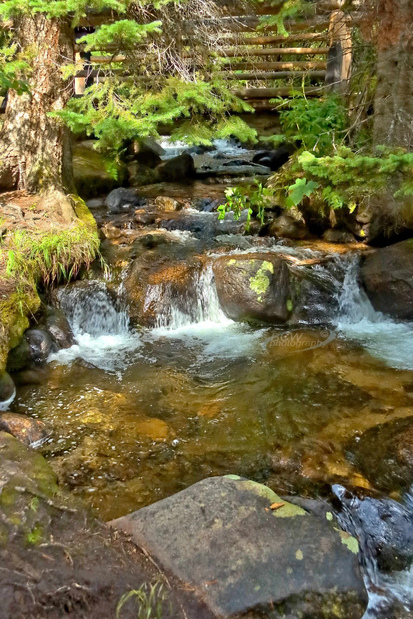 Creek in Wild Basin area - Rocky Mtn NP