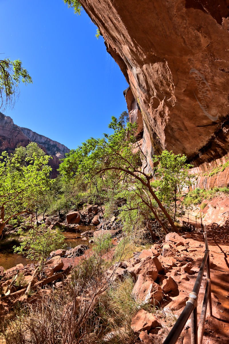 Emerald Pool Trail - Zion NP