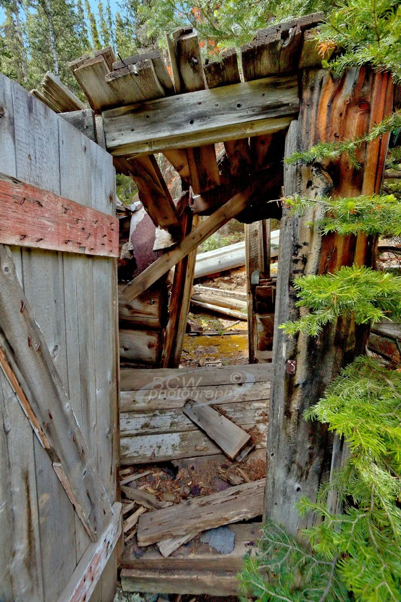 Old cabin - Steven's Gulch, CO