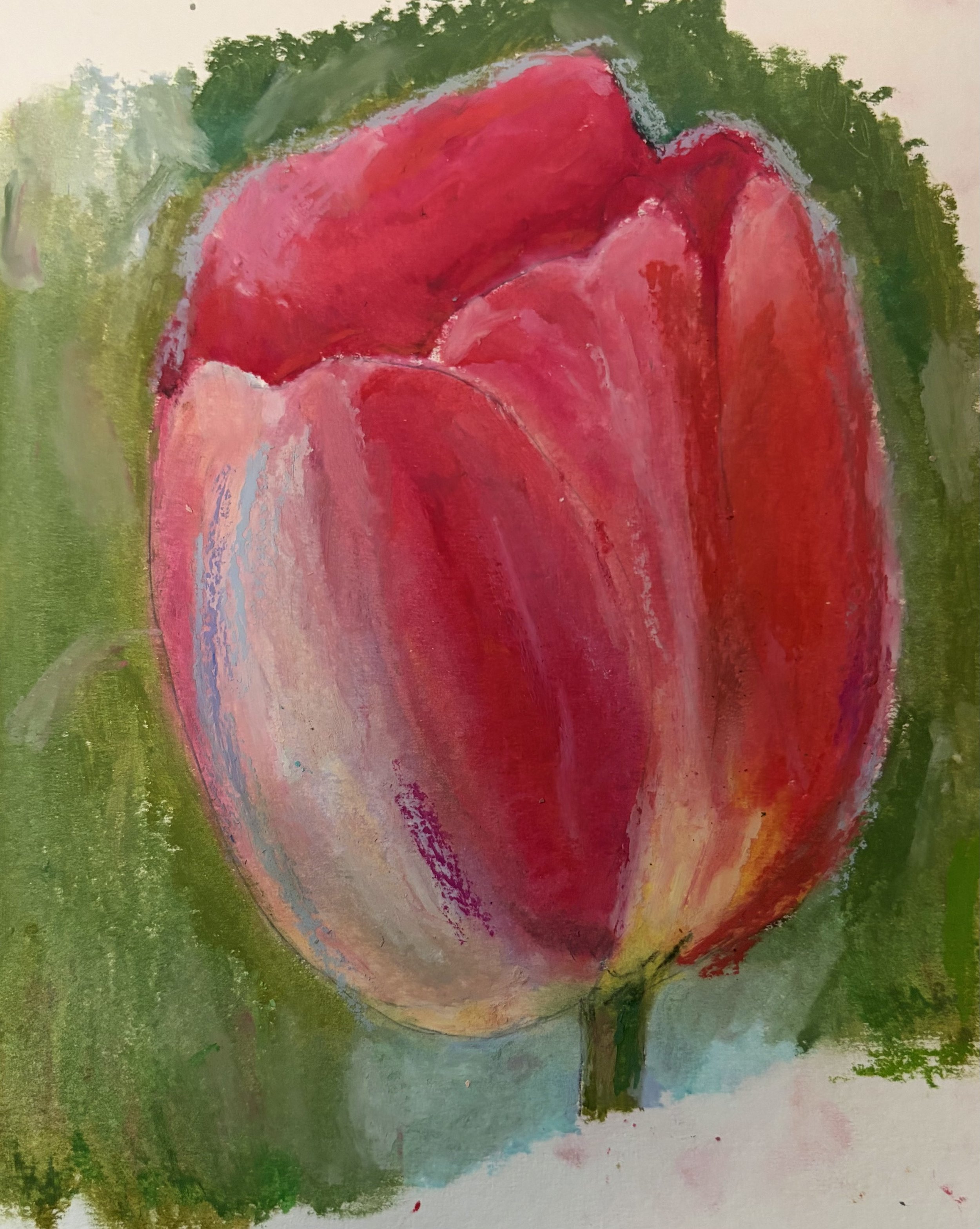 Pastel Studies