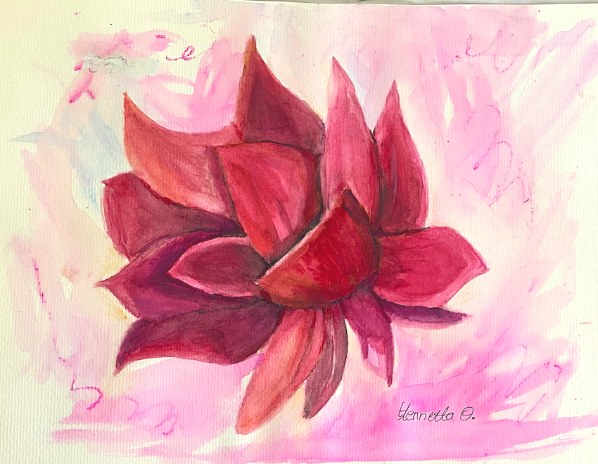 Watercolor painting of a red and pink succulent plant on a pink and light background, signed by Tennetta O.