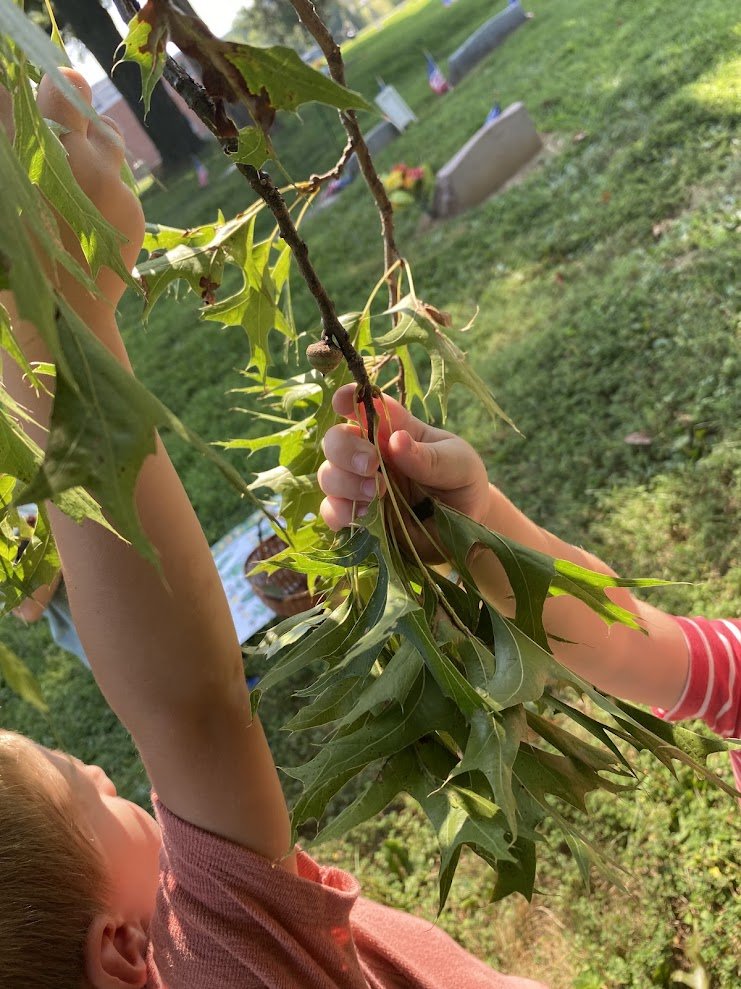 Sparrow Summer Camp Week 3 - June 22-26