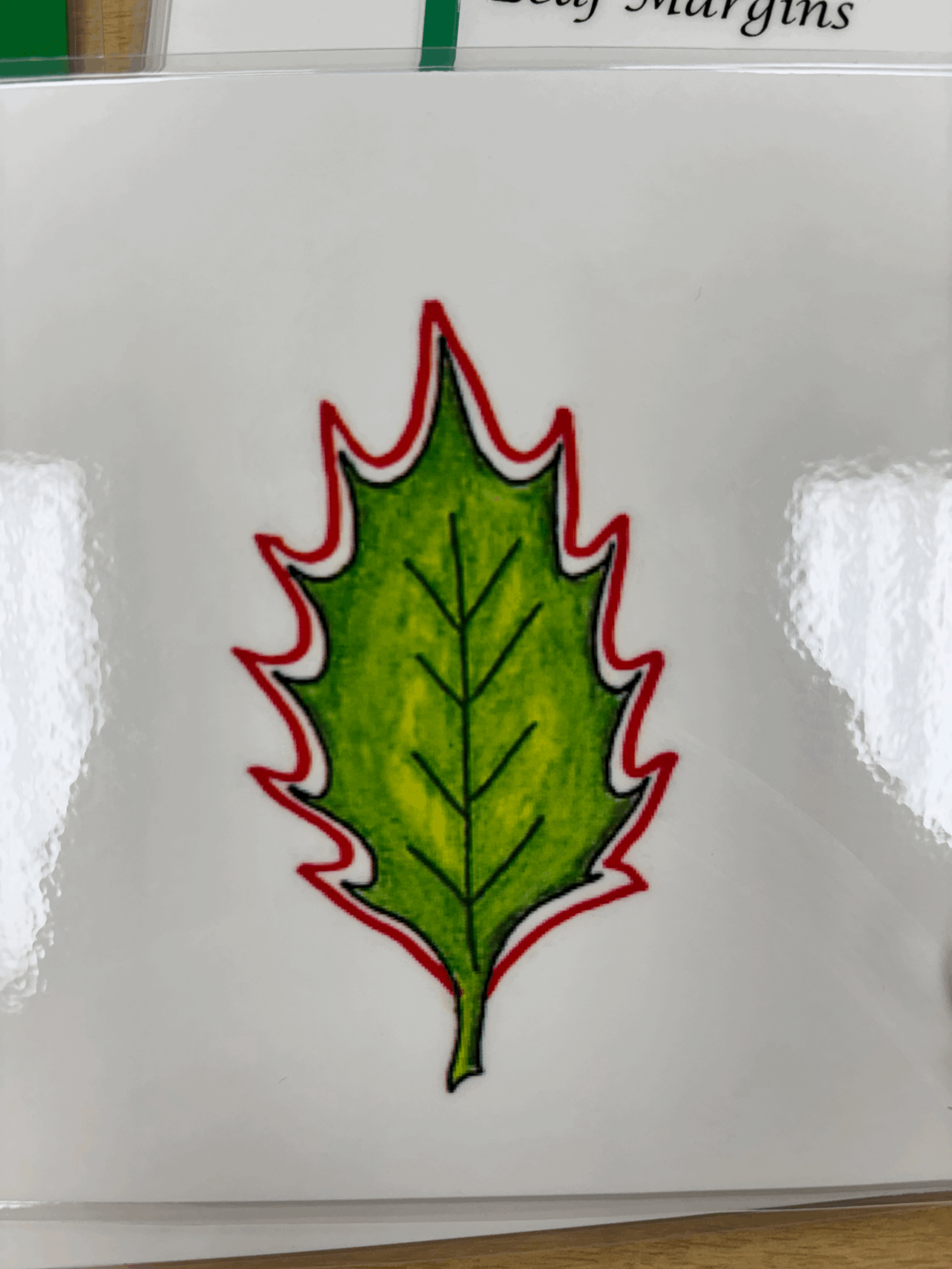 tempImageWTLLAV.gif