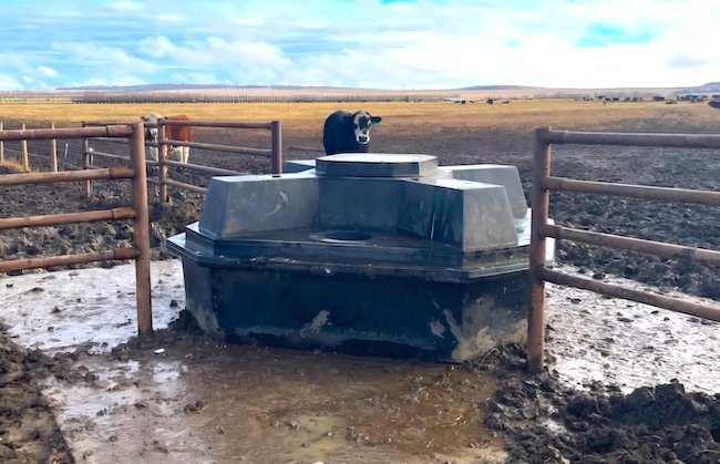 stock _tank1.jpg