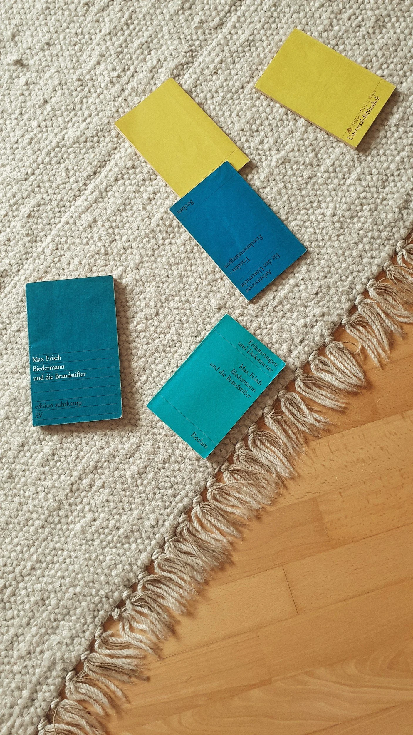 Multiple paperback books resting on a textured beige rug with fringe, next to a wooden floor.