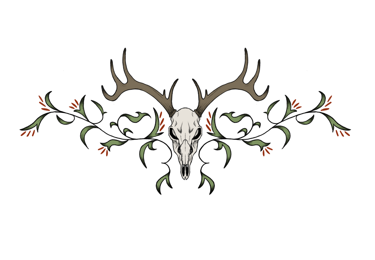 Screenshot 2026-02-23 051734.png