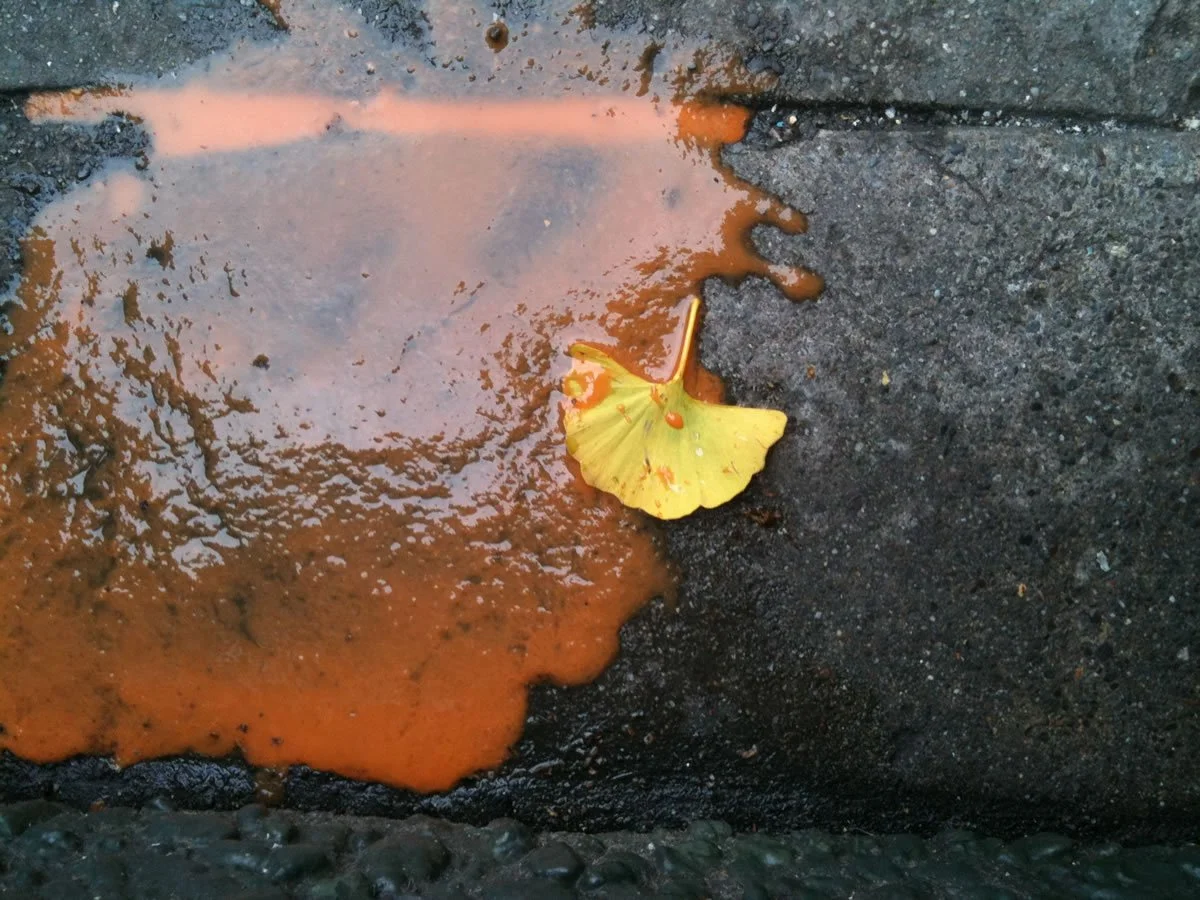 LookingDown_0654.jpg