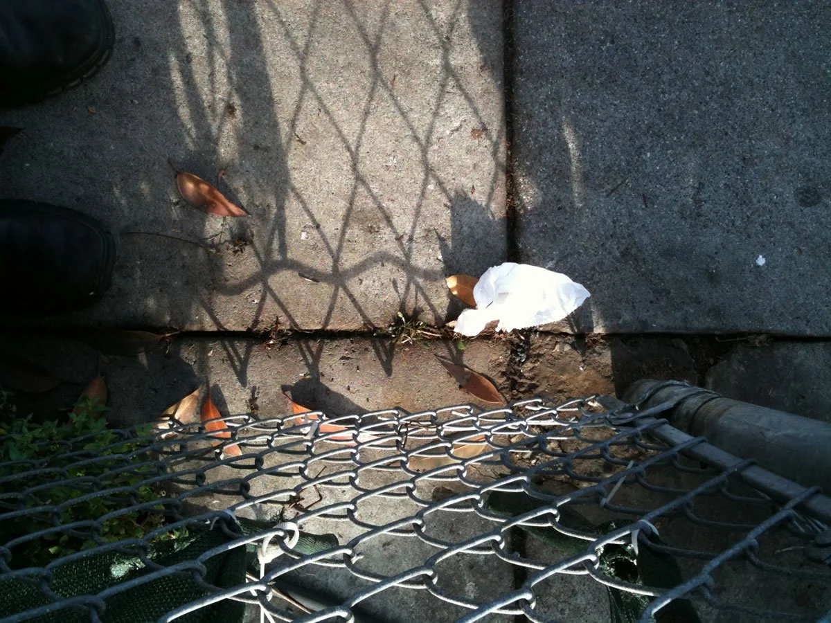 LookingDown_0218.jpg