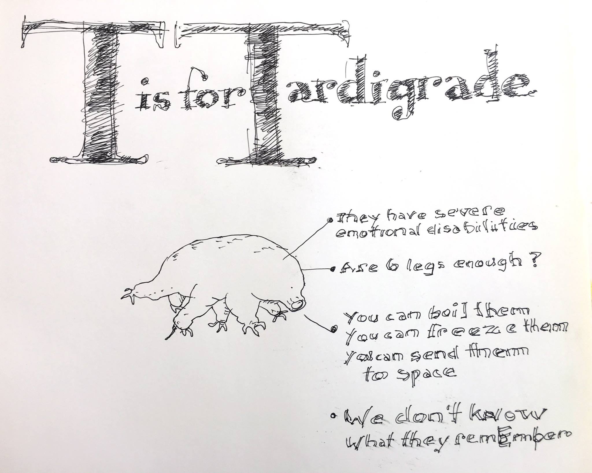 T is for...