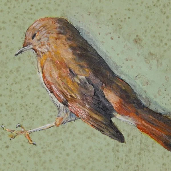 Bird, Nest, Nature at Bedford Gallery
