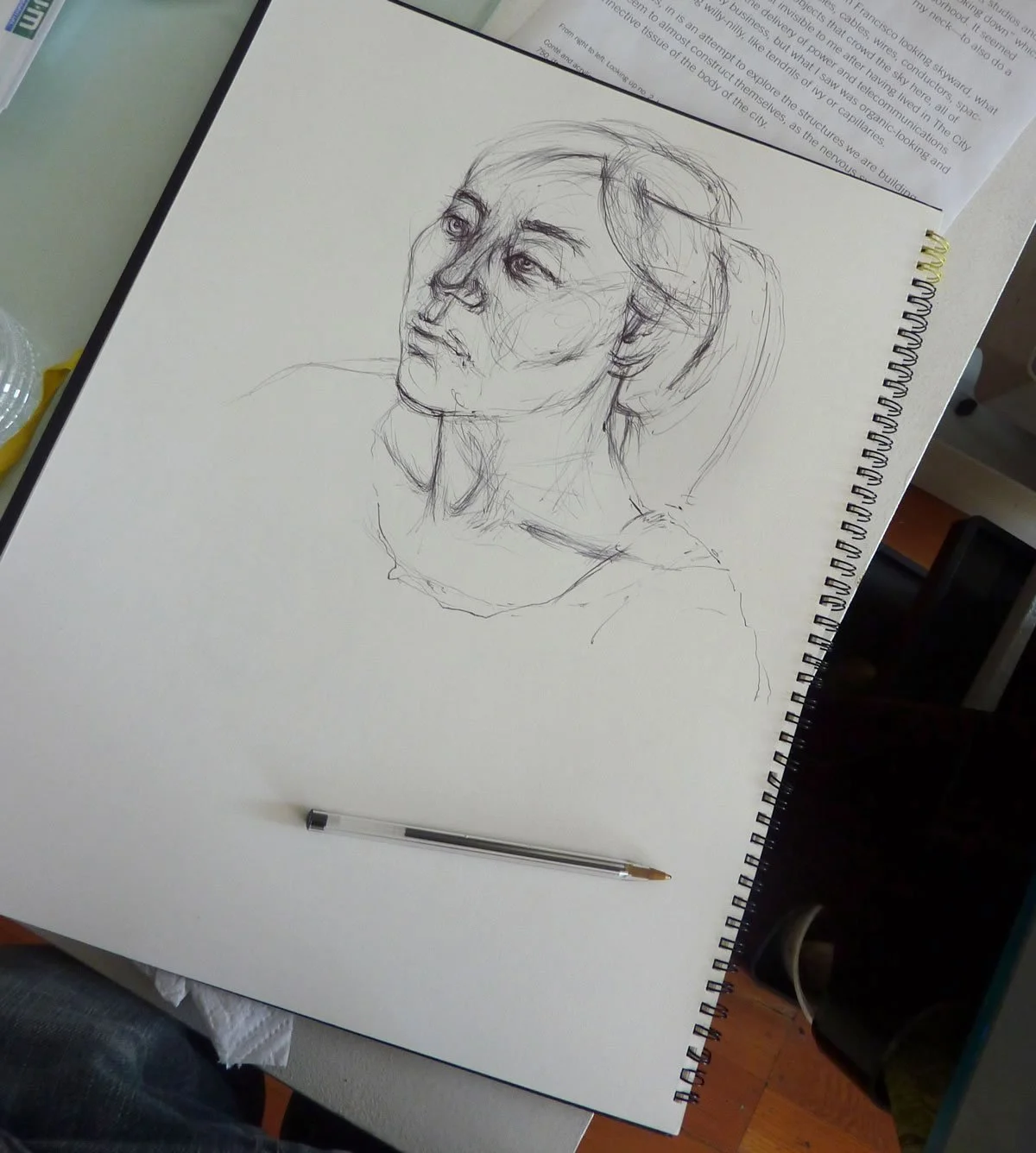 Ball point pen study for portrait commission