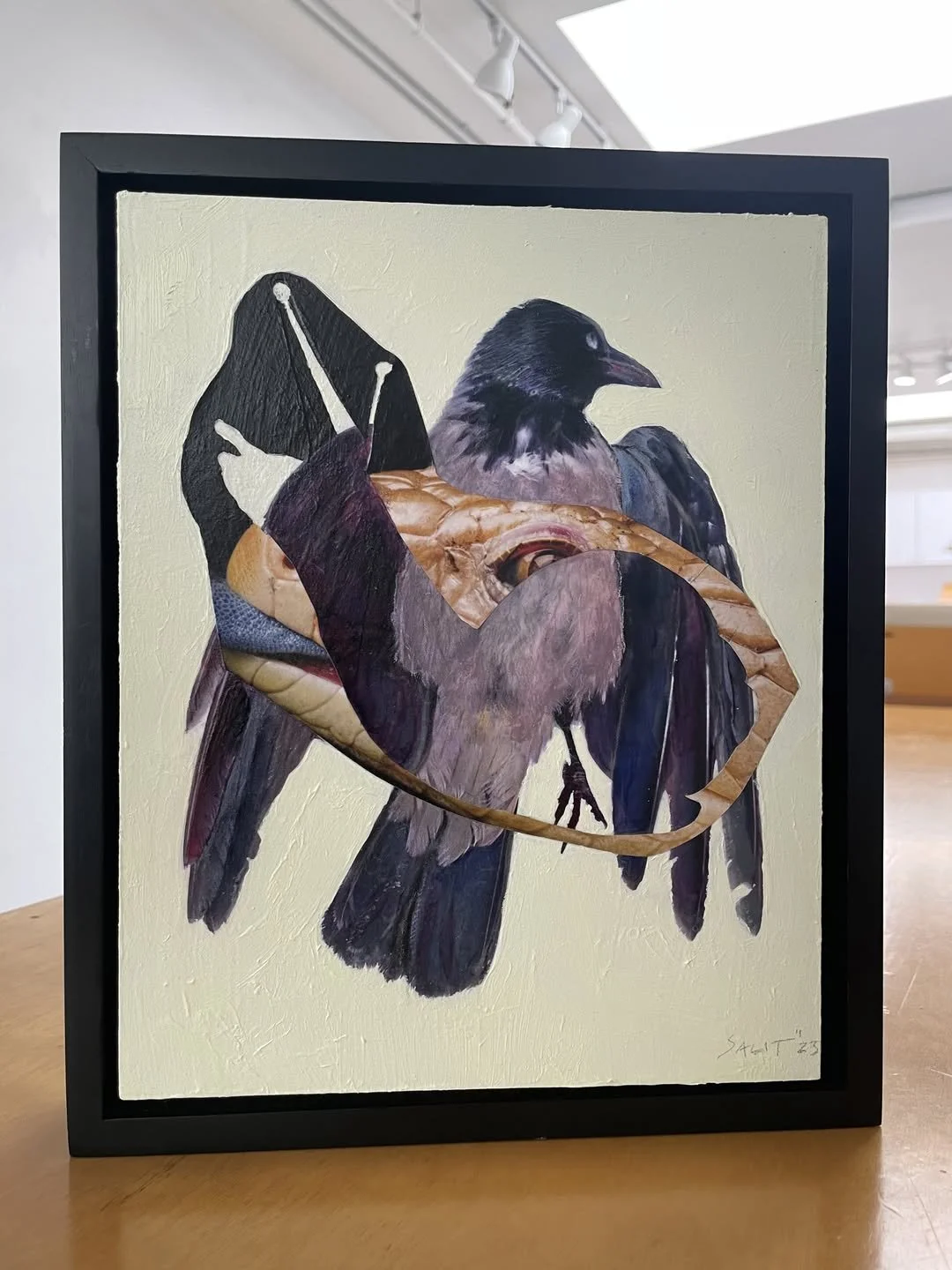 Avian Art show at MONCA
